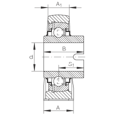 直立式軸承座單元 RASEL60-N, 鑄鐵軸承座，浮動(dòng)軸承，內(nèi)圈有驅(qū)動(dòng)槽，R 型密封
